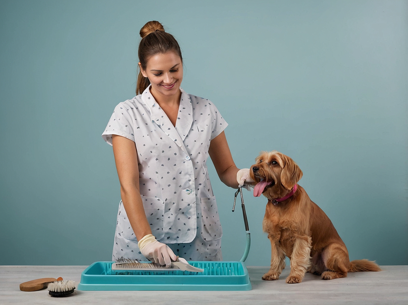 Corte y Estilismo San Francisco de Macorís